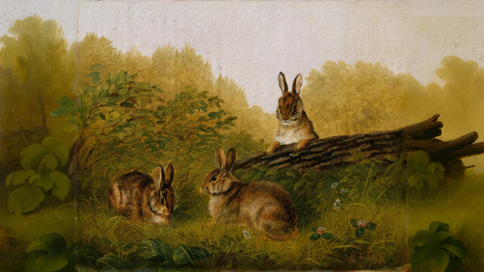 Lapins sur une bûche par Arthur Fitzwilliam Tait, étendu au format 16:9