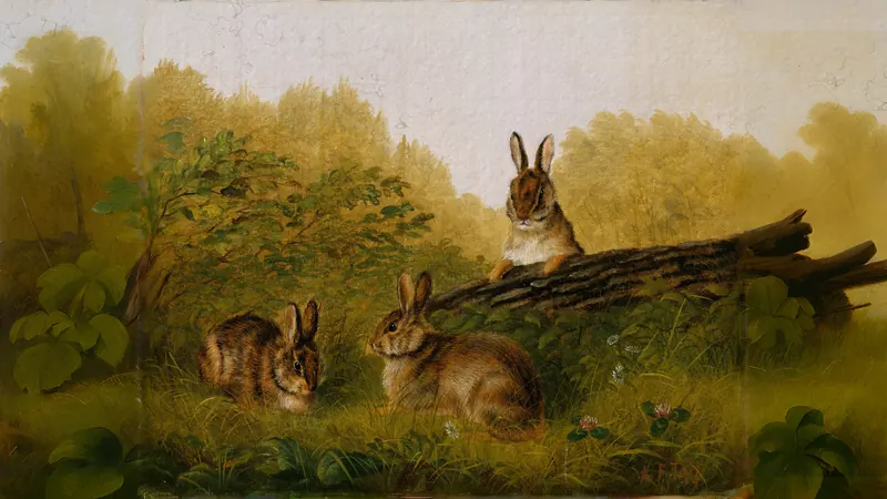 Kaninchen auf einem Baumstamm von Arthur Fitzwilliam Tait