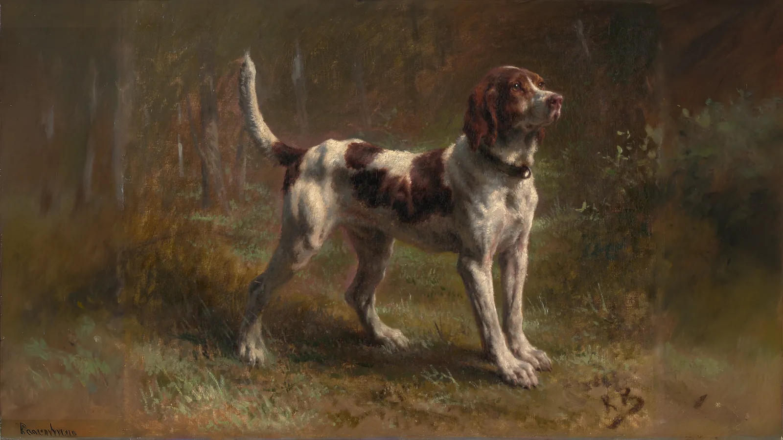A Limier Briquet Hound by Rosa Bonheur, extended to 16:9