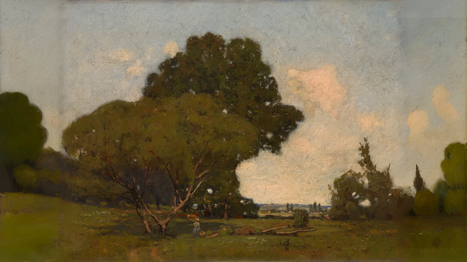 Les Arbres, début d'après-midi, France par William A. Harper, étendu au format 16:9