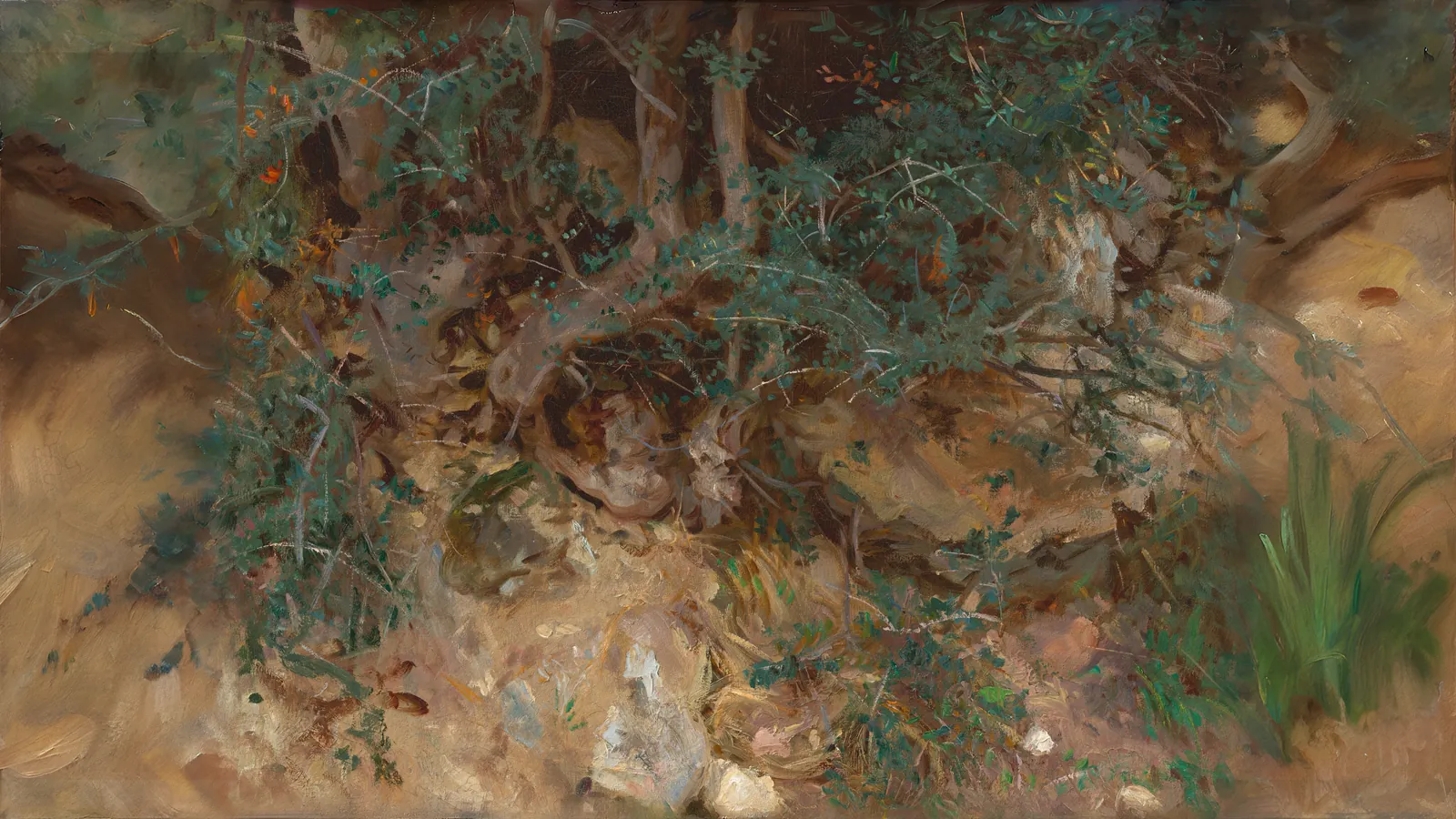 Radici di ulivo selvatico, Valldemossa, Maiorca di John Singer Sargent, estesa in 16:9